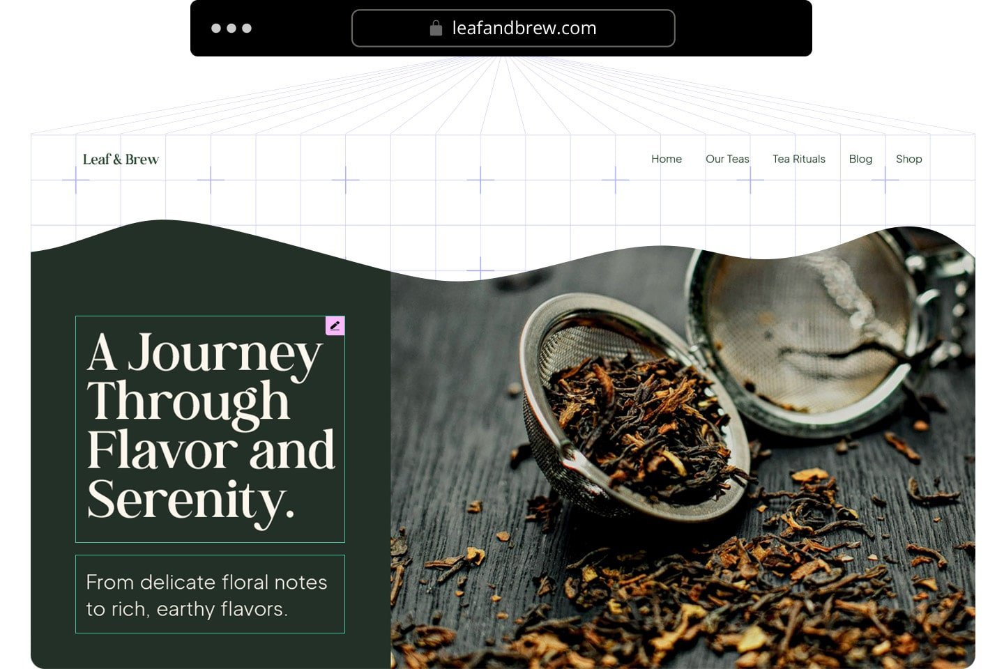 Recreate existing websites